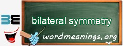 WordMeaning blackboard for bilateral symmetry